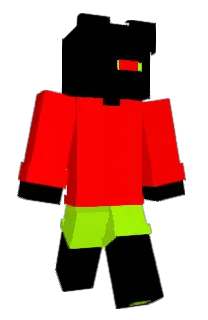 S4NDWICH_'s Minecraft skin
