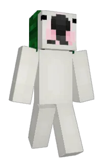 Front of kleinerbaumy's skin
