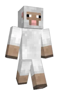 Front of vivi3n's skin