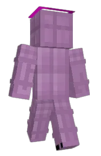 Front of landzoy's skin
