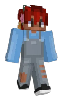 Front of HappisHome's skin