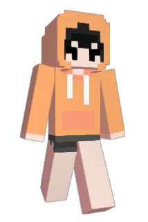 9dokk Minecraft avatar full body