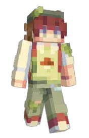 Skin preview