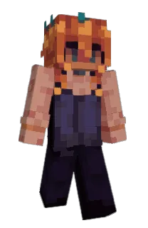 Front of comyet's skin