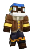 rlcsgamer