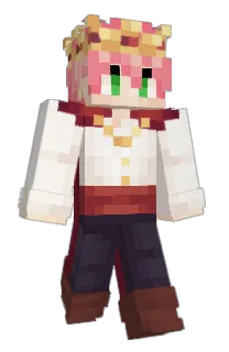 Front of Anaklus's skin