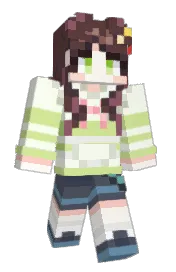 Skin preview
