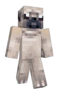 Front of MostEasiestCombo's skin