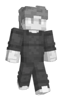 Front of Droperik's skin