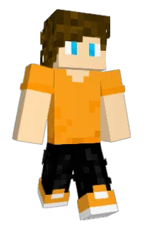 Front of Vilmerized's skin