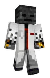 Swakooo's Minecraft skin