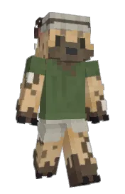 Skin preview