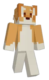 Classic Minecraft skin