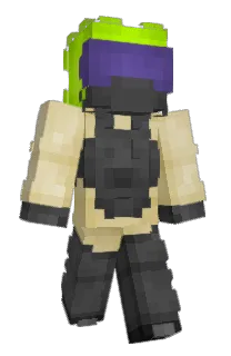 Front of dicuber's skin