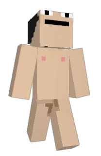 Front of vbu's skin