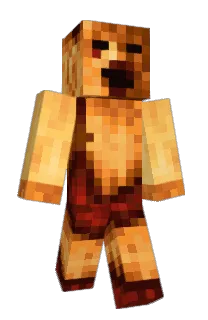 Front of Mugen's skin