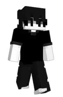 ZL0309's Minecraft skin