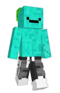 Front of AnkyGG's skin