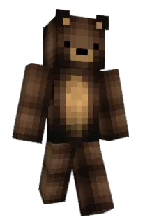 Front of C50's skin