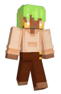 Front of Toksyos's skin