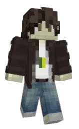 cocoa brown and bison hide Minecraft skin — Classic model