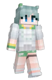 Skin preview