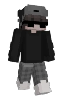 Front of NSAR's skin