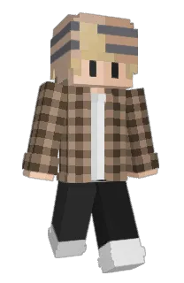 Front of Experienceful's skin