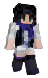 french gray and aluminium Minecraft skin — Slim model — first worn by sibyl6