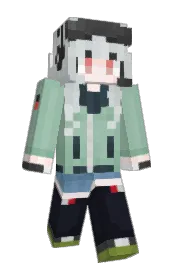 Skin preview