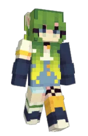Skin preview