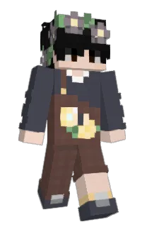 Front of wnd17's skin