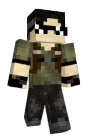 Skin preview