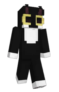 Front of Landoonym's skin
