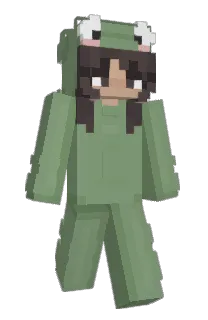 Front of naikia's skin