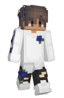 JNA's Minecraft skin