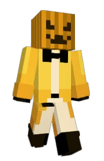 Front of ployaz's skin