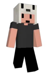 Front of 544's skin