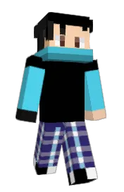 Skin preview