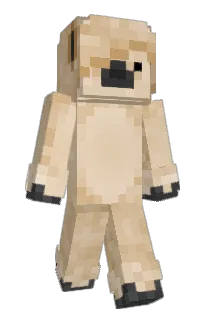 Front of ItzAlpaca's skin