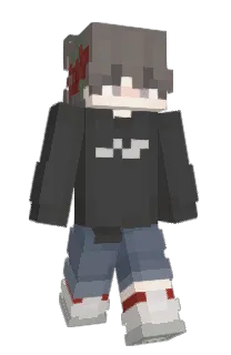 Front of QvQibb's skin