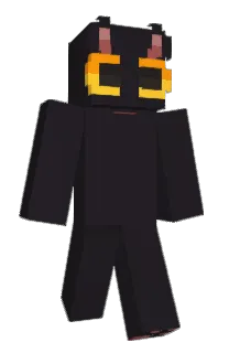 Front of breadboyrye's skin