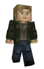 Skin preview
