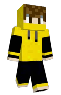 Front of Ibims123's skin