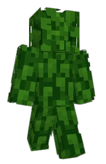 Front of MrFansome's skin