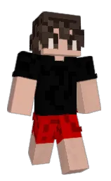 Minecraft skin — Classic model