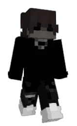 Back of 12LT's skin