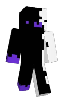 Front of StLiX's skin