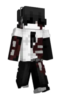 Front of vWirt's skin