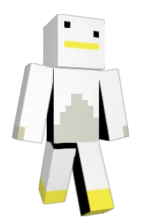 Front of iCamaroon's skin